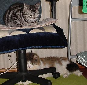 c0066610_18201357.jpg