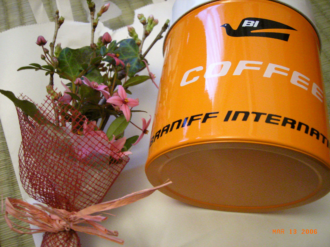 d0014133_13364782.jpg
