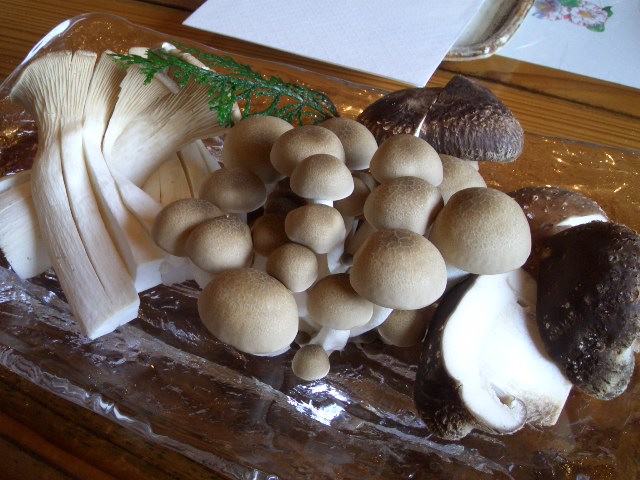 f0009451_21555226.jpg