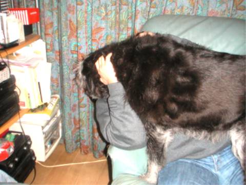 d0006253_3111982.jpg