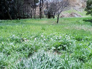e0063653_13275912.jpg
