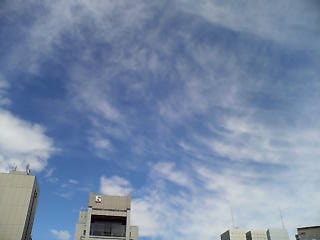e0063653_13283687.jpg