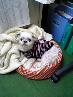 e0043162_0215729.jpg