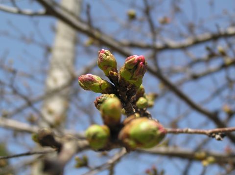 c0042869_20144469.jpg