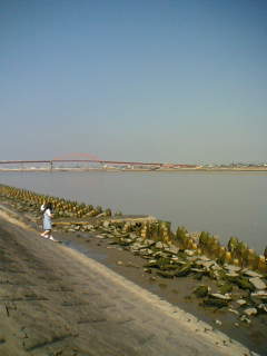 a0018688_163155.jpg