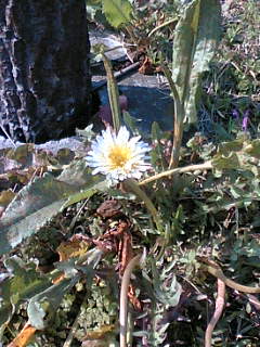 a0018688_18243235.jpg