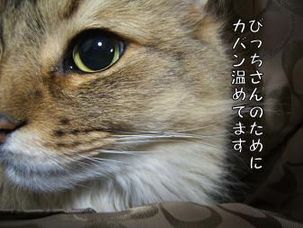 a0045990_1111390.jpg