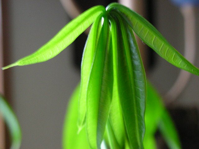 f0083400_1525180.jpg