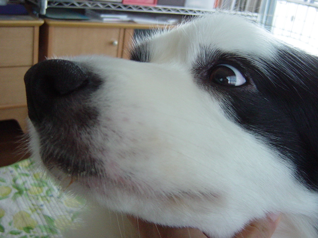 e0028401_201351.jpg