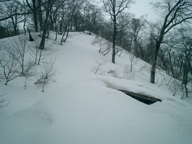 f0001203_2119328.jpg