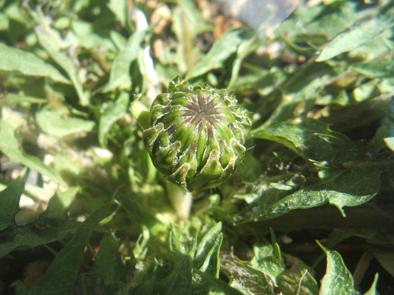 b0061010_9474510.jpg