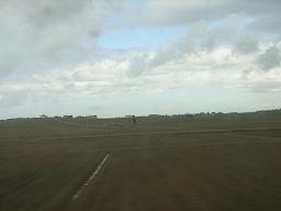 d0059116_052740.jpg