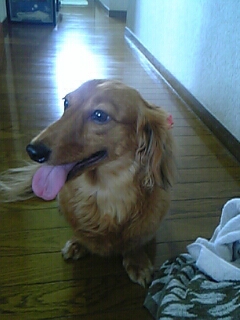 f0033416_04537.jpg