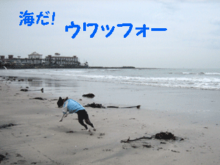 e0080117_23312848.gif