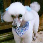 a0053420_028871.jpg