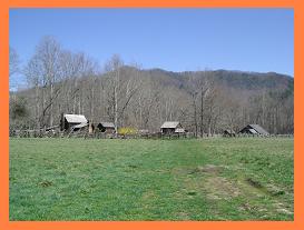 e0075832_14102336.jpg
