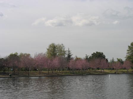 f0045736_1114572.jpg