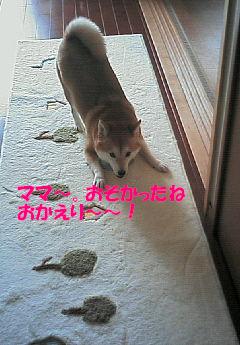 f0075043_2145167.jpg
