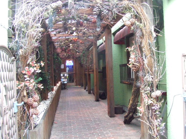 c0071545_11261371.jpg