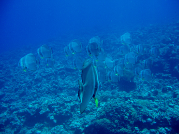d0065247_21105587.jpg