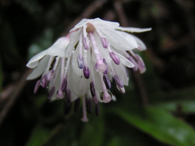 c0042869_22353313.jpg