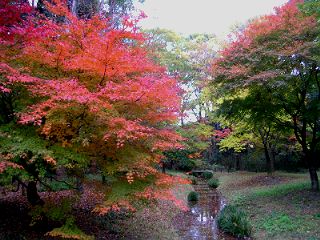 a0016177_18275413.jpg