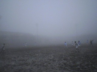 f0048182_235168.jpg