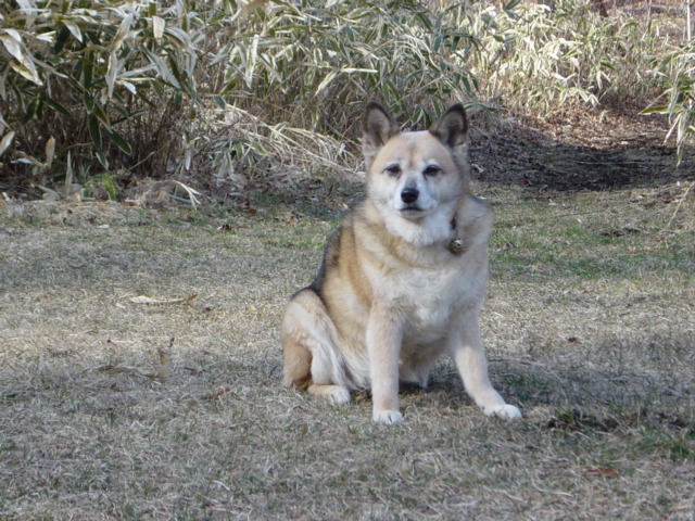 f0064906_21181715.jpg