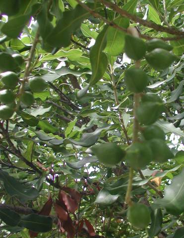 c0027707_20352968.jpg