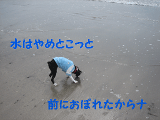 e0080117_094110.gif