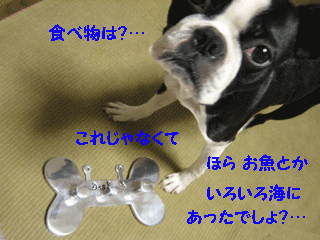 e0080117_11185145.gif