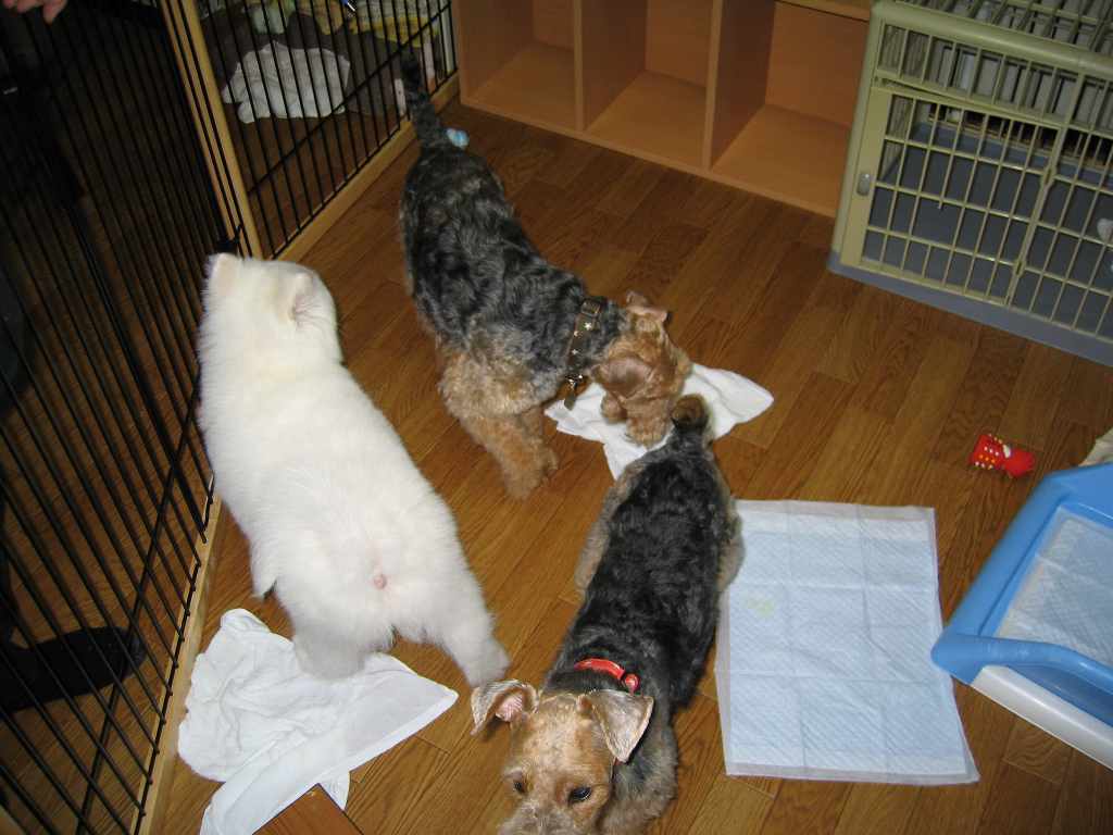 f0095922_873336.jpg