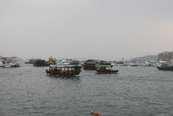 d0006524_19452594.jpg