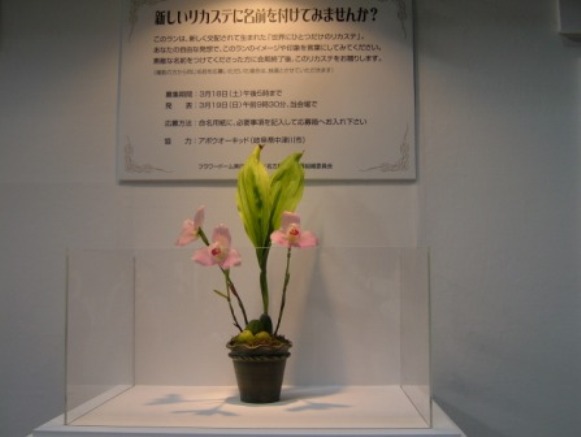 e0024126_1051468.jpg