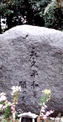 a0058135_18313621.jpg