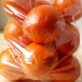 e0067538_12305973.jpg