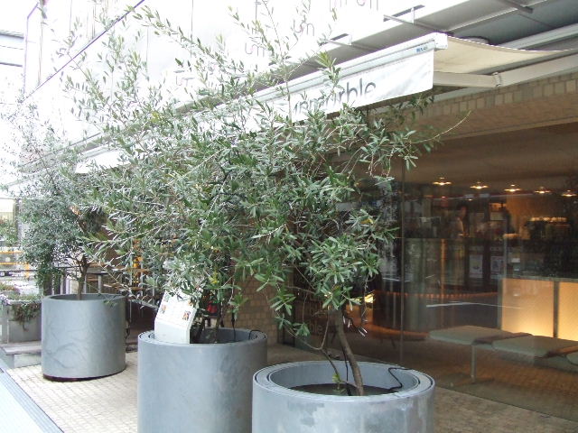 c0071545_9271157.jpg