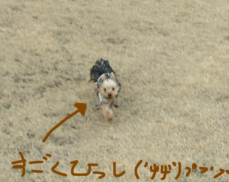 f0067361_8331878.jpg