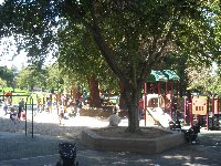 f0062162_1627588.jpg