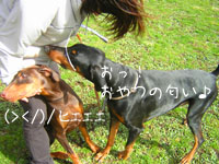 f0025769_17504748.jpg