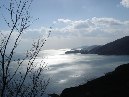 a0004180_1929125.jpg