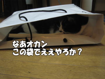 b0041182_025189.jpg
