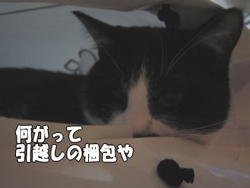 b0041182_0253379.jpg
