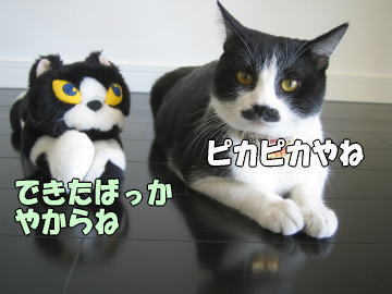b0041182_23533871.jpg