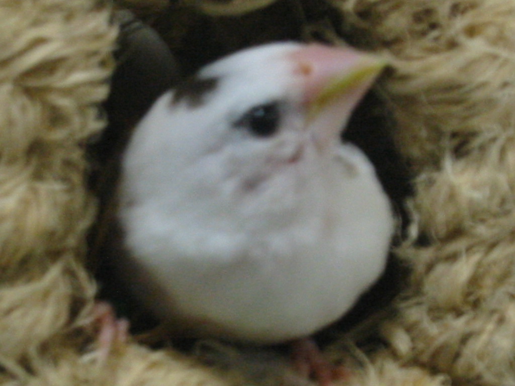 f0013998_5325890.jpg