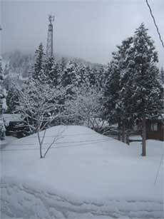 a0061599_22425592.jpg