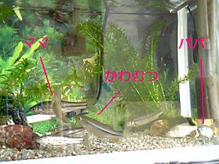 f0034007_22335079.jpg