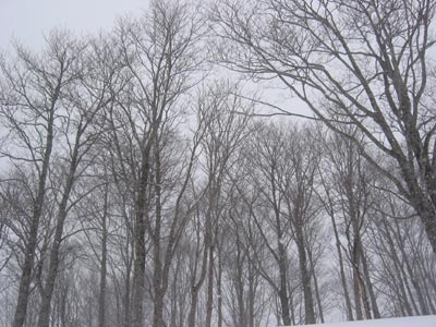 a0041508_19275494.jpg