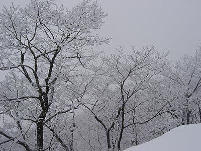 a0041508_192899.jpg