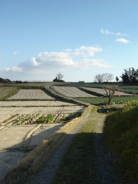 c0011009_1583828.jpg